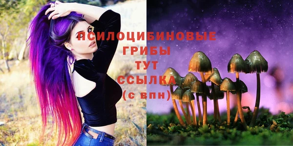 скорость Баксан