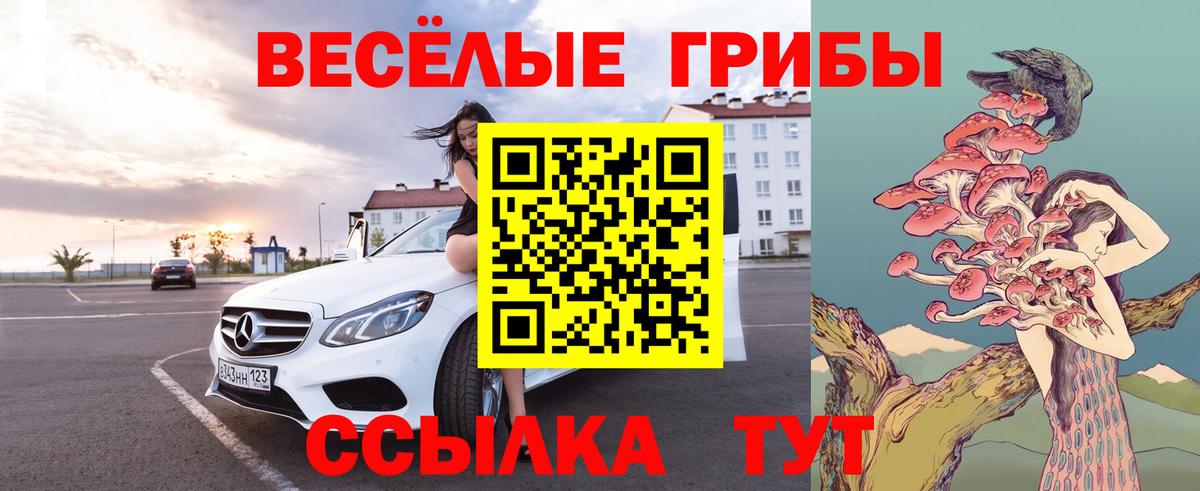 Псилоцибиновые грибы Cubensis Унеча