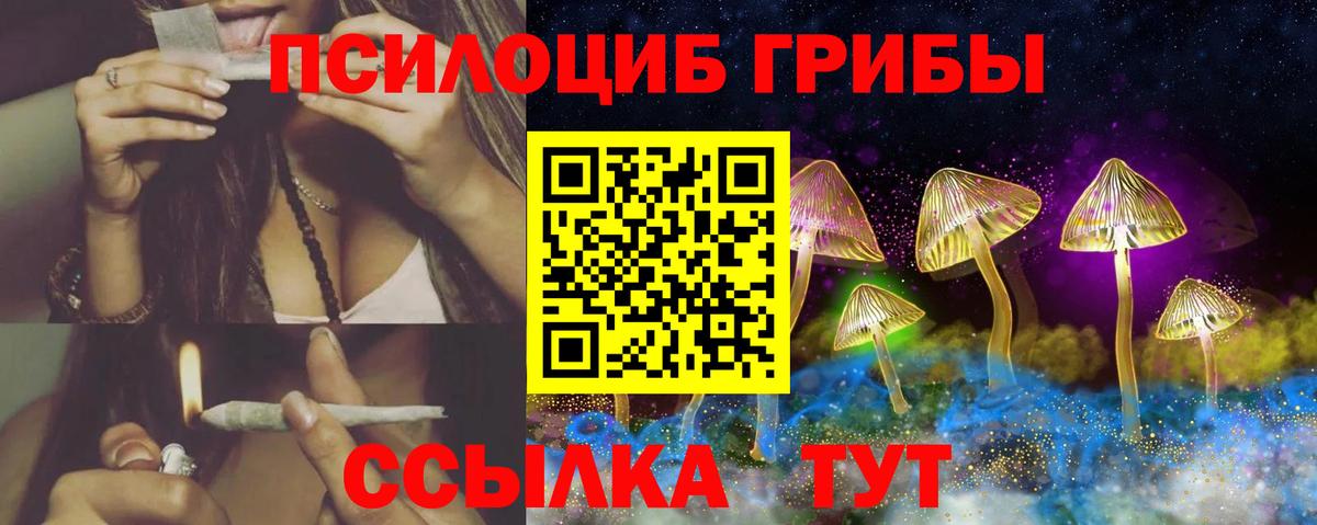 Псилоцибиновые грибы Cubensis  Вход с VPN  Унеча 